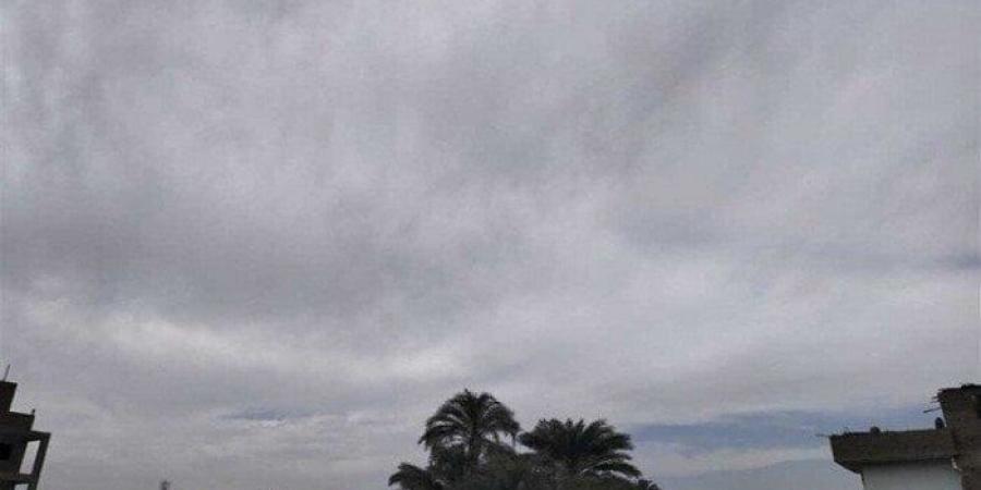 حالة الطقس اليوم.. الأرصاد تعلن درجات الحرارة الجمعة 14 نوفمبر وخريطة الأمطار - المصدر 24