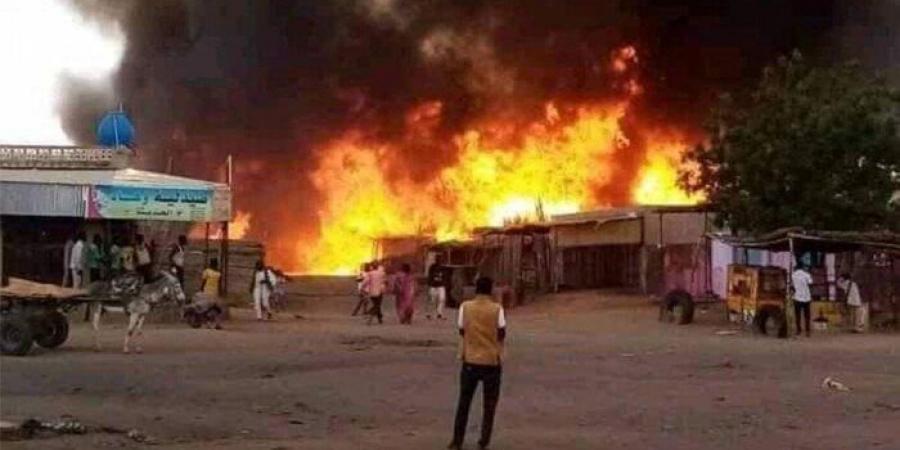 السودان يرحب بقرار مجلس حقوق الإنسان وإدانته لانتهاكات مليشيا «الدعم السريع» في دارفور - المصدر 24