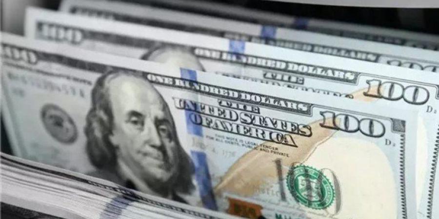 استقرار حذر.. سعر الدولار في مصر اليوم الجمعة 14 نوفمبر 2025 - المصدر 24