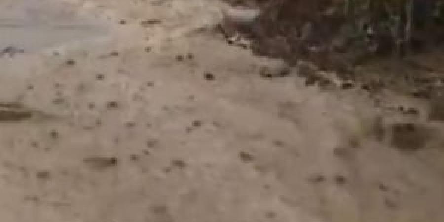 بالفيديو : سيول جراء غزارة الأمطار كفرنجة بمحافظة عجلون - المصدر 24