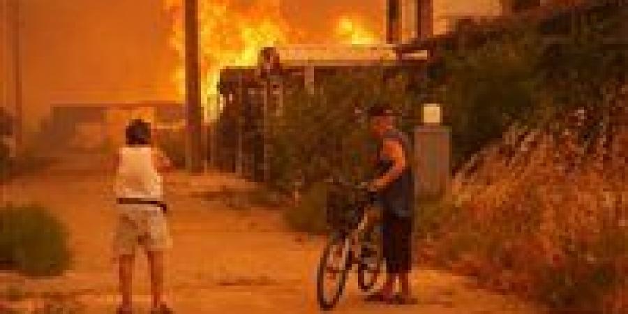 حرائق غابات الجزائر: النيران تلتهم 11 ولاية ونداء عاجل من السلطات - المصدر 24