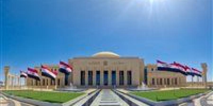 تحديد مكافأة عضو مجلس النواب وضوابطها - المصدر 24