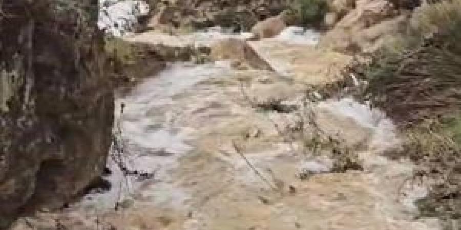 بالفيديو .. جريان لسيول الأمطار في وادي بمحافظة عجلون - المصدر 24