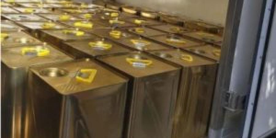 سعر تنكة زيت الزيتون في سوريا تثبت عند 100 دولار - المصدر 24