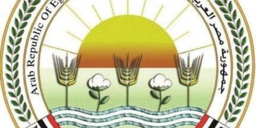 «الزراعة»: إصدار 429 ترخيص تشغيل لأنشطة الإنتاج الحيواني والداجني - المصدر 24