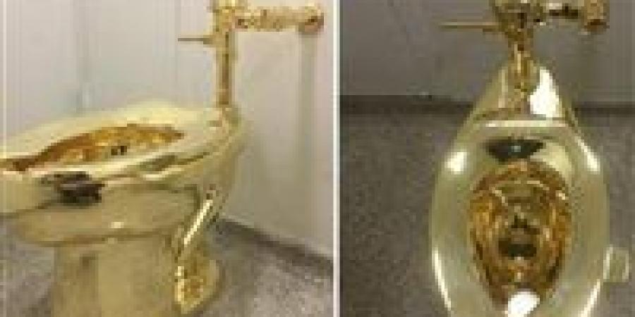 مرحاض أمريكي ذهبي في المزاد والسعر مفاجأة - المصدر 24
