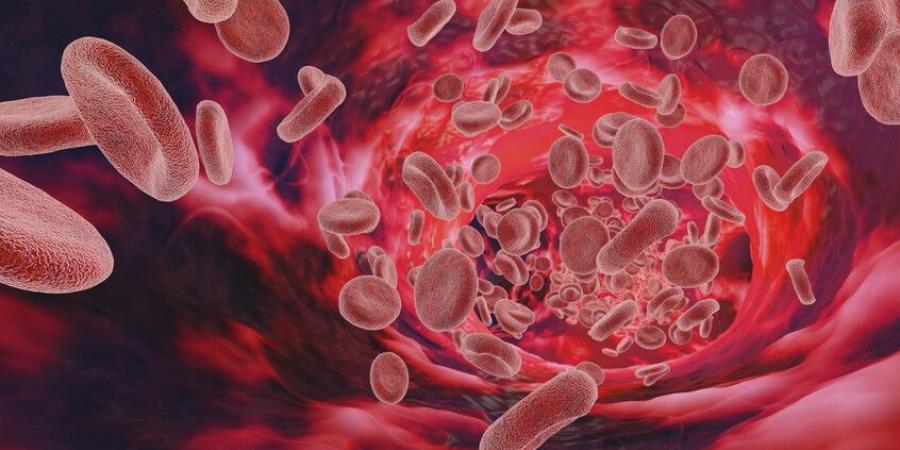 المصابون بـ"كوفيد طويل الأمد" يحملون في دمائهم علامات غريبة! - المصدر 24