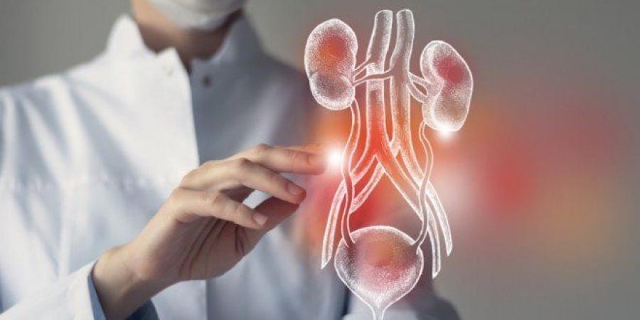 أدوية التخسيس تمنح مرضى الفشل الكلوي أملاً جديداً في التأهل لزراعة الكلى - المصدر 24