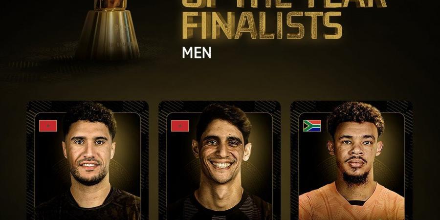 كاف يستبعد أحمد الشناوى من القائمة النهائية لأفضل حارس 2025 - المصدر 24