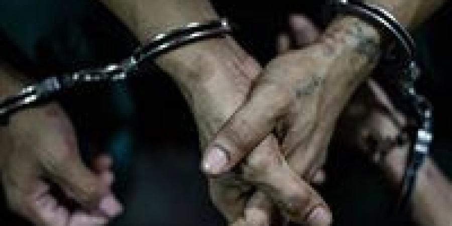 ضبط عاملين اعتديا على طالبات أمام مدرسة في الجيزة - المصدر 24