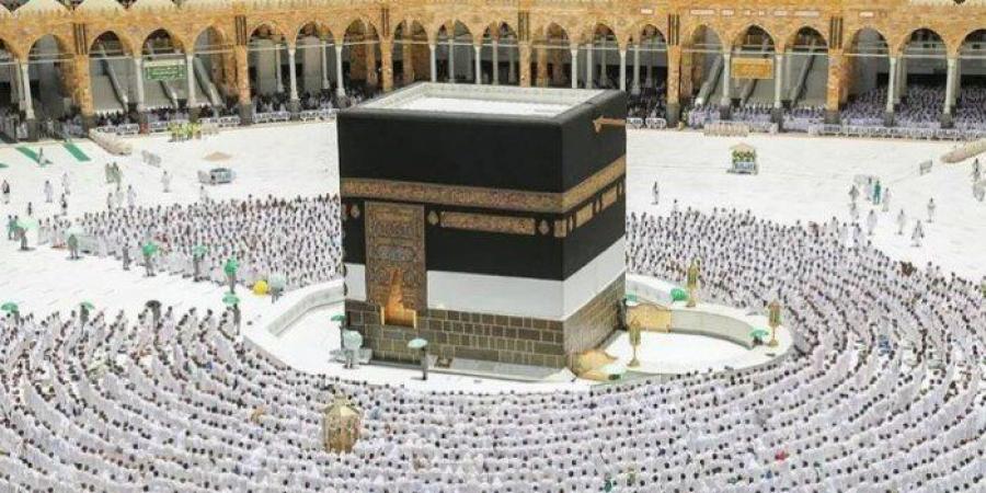 مصر.. ضبط 27 شركة سياحة بدون ترخيص للنصب على المواطنين - المصدر 24