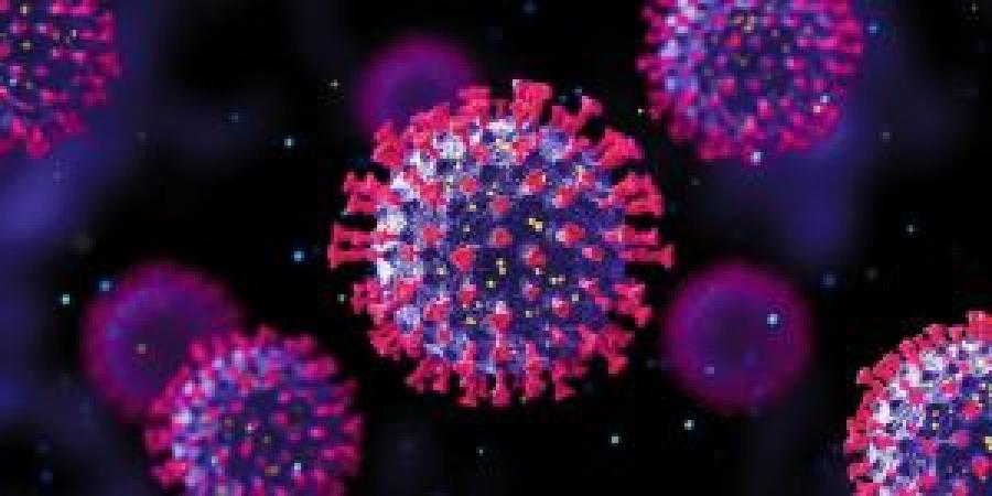 استشاري أمراض معدية يطلب من الأردنيين التوجه لأخذ مطعوم الإنفلونزا الموسمي - المصدر 24