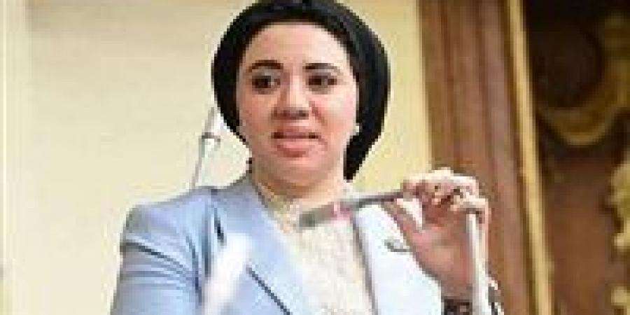النائبة أميرة صابر لتحيا مصر: أؤيد مقترح إذاعة جلسات البرلمان لكن بضوابط - المصدر 24