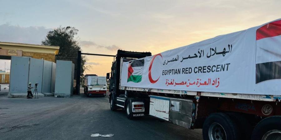 مصر توزع مليون كرتونة إغاثية داخل غزة عبر اللجنة المصرية العاملة بالقطاع - المصدر 24