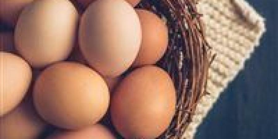 سعر طبق البيض يقترب من 100 جنيه… والمنوفي يحذّر: انهيار الأسعار يهدد خروج آلاف المربين - المصدر 24