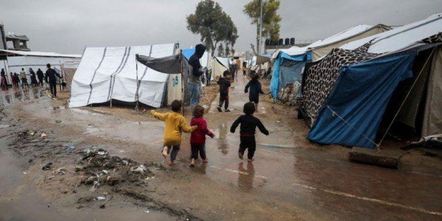 السلطات الإعلامية في غزة تؤكد الحاجة إلى 300 ألف خيمة وبيت متنقل مع دخول الشتاء - المصدر 24