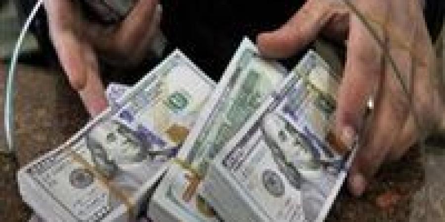 قفزة قياسية في تحويلات المصريين بالخارج.. هل تساهم في تراجع سعر الدولار؟ - المصدر 24