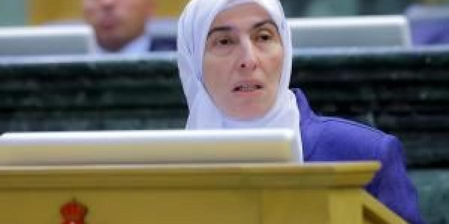 النائب ديما طهبوب: "اللي بتطلع على الأردن بعين ردية بنخزق عينيه" - المصدر 24