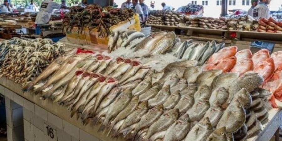 أسعار الأسماك والجمبري اليوم الإثنين 17 نوفمبر 2025 في سوق العبور - المصدر 24