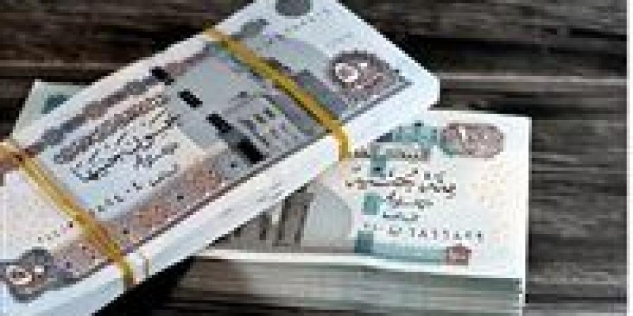 استثمار ذكي.. كيف تستثمر 100 ألف جنيه في الذهب والشهادات وتحقق مكاسب - المصدر 24