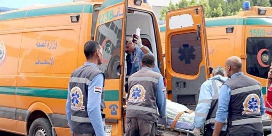 صاعق الموت يضرب سمالوط: مصرع عامل وطفلة في حادثين منفصلين بالمنيا - المصدر 24
