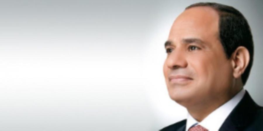 الرئيس السيسي يطالب الوطنية للانتخابات باتخاذ قرارات تعبر عن إرادة الناخبين - المصدر 24