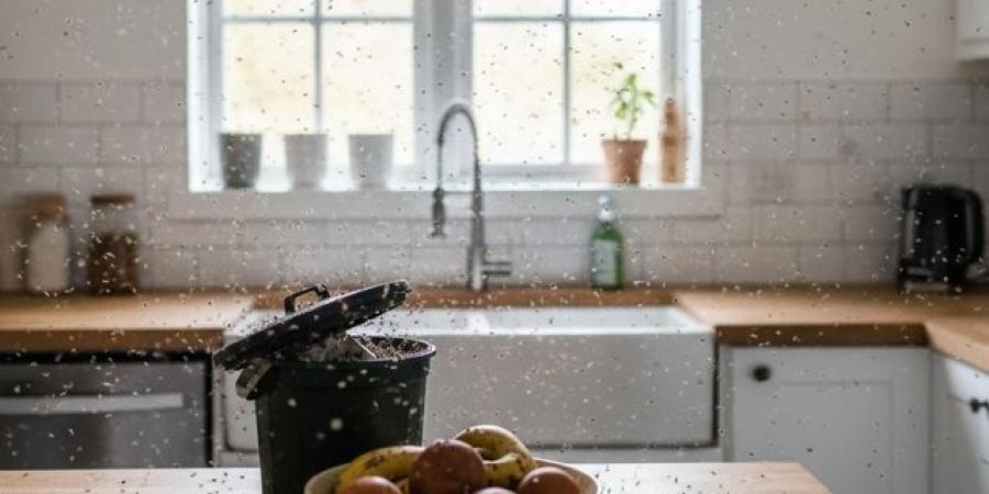 Effective Natural Recipes to Get Rid of Gnats in the Kitchen - المصدر 24