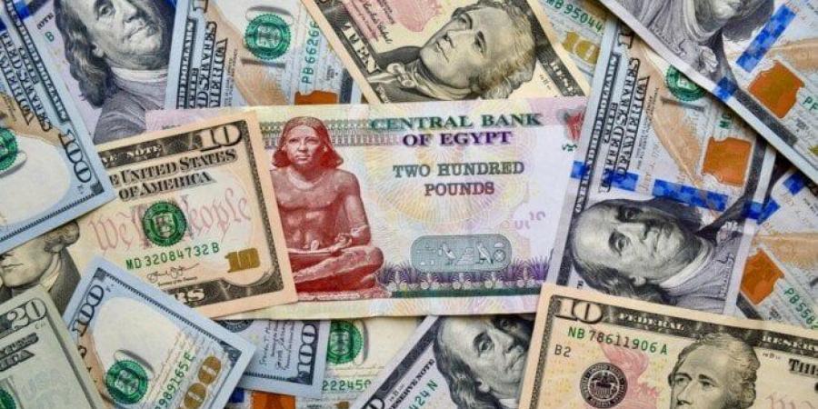 الأمريكي بكام؟.. سعر الدولار اليوم مقابل الجنيه المصري الثلاثاء 18 نوفمبر 2025 - المصدر 24