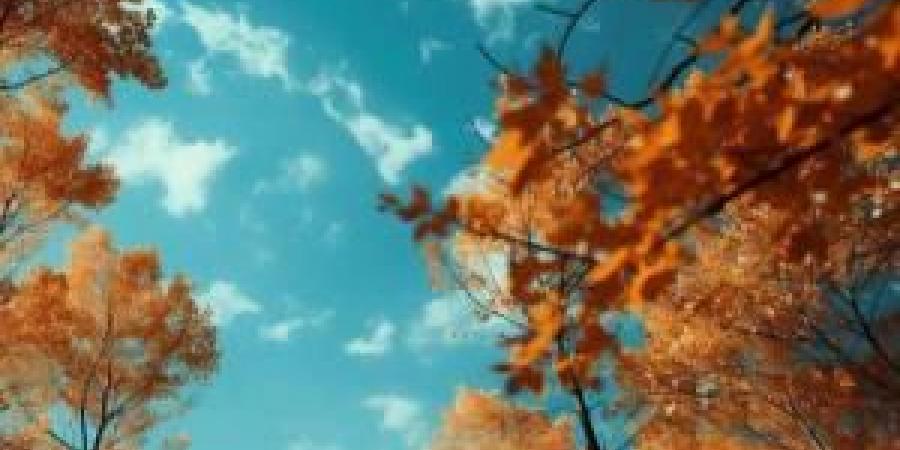 رياح مثيرة للغبار و طقس خريفي لطيف الثلاثاء والأربعاء - المصدر 24