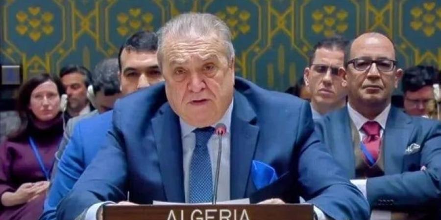 مندوب الجزائر بالأمم المتحدة: السلام الحقيقي بالشرق الأوسط مشروط بضمان العدالة للشعب الفلسطيني - المصدر 24