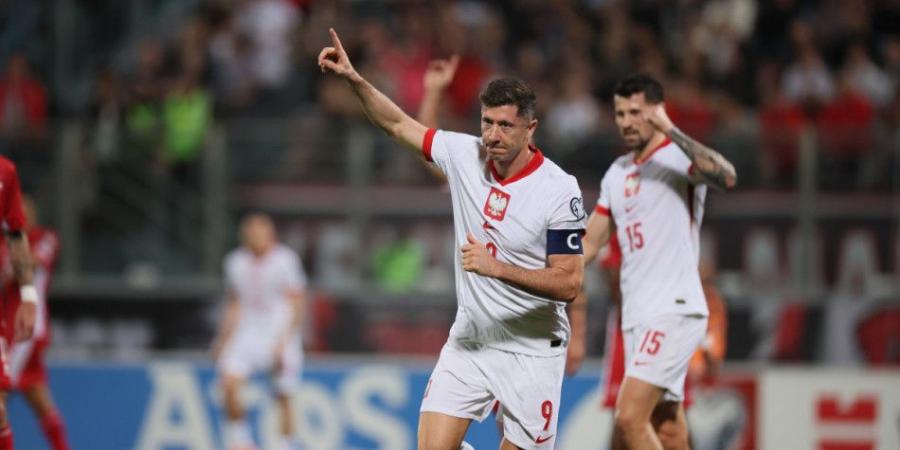 المرة الـ 12.. هولندا إلى المونديال.. وبولندا تخوض الملحق - المصدر 24