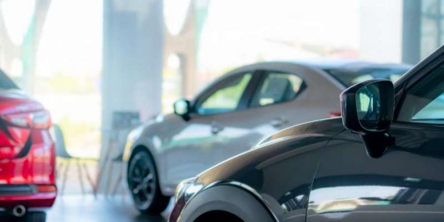 أبو ناصر: 4 آلاف بيان جمركي متبقية فقط… والقرار الصيني يهدد قطاع إعادة التصدير - المصدر 24