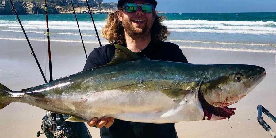 العثور على جثة صانع محتوى أمريكي في البحر بعد نداء استغاثة - المصدر 24