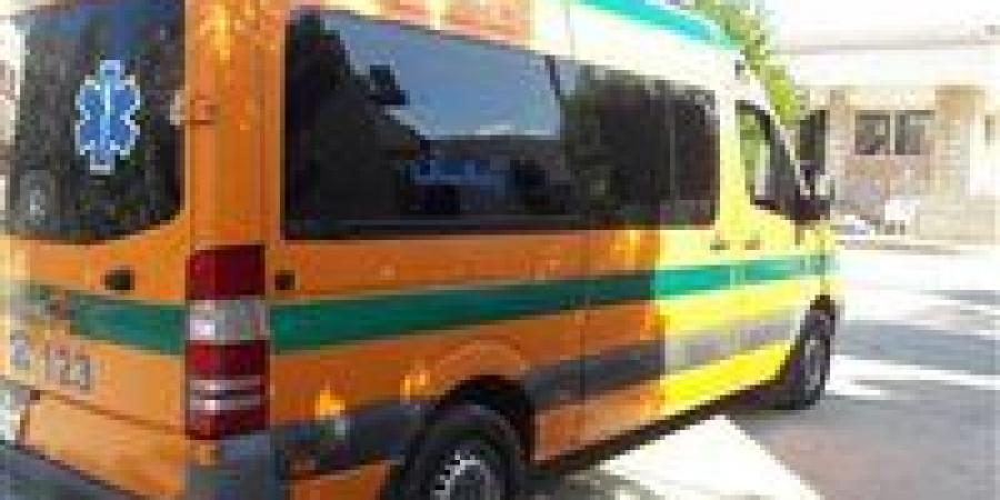 العثور على جثة شاب بمياه ترعة الضهرية في إيتاي البارود - المصدر 24