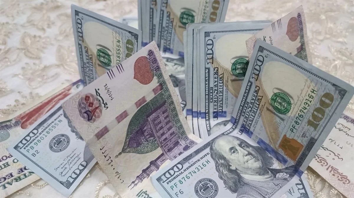 سعر الدولار يقترب من 47.50 جنيه.. البنوك تعلن انهيار جديد للأخضر