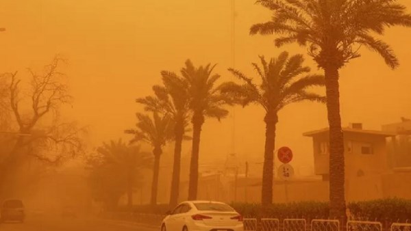 عاصفة رملية تضرب مصر خلال ساعات.. تحذير عاجل من الهيئة العامة للأرصاد الجوية بشأن طقس الجمعة 13 فبراير 2026 ودرجات الحرارة المتوقعة