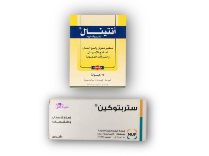 أيهما أفضل انتينال أم ستربتوكين؟ طبيبك يوضح السر ومتى يجب أن تحذر!.. وداعاً للإسهال والمغص