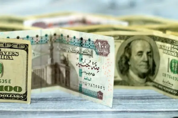 سعر الدولار اليوم الثلاثاء 3 فبراير 2026 في مصر بختام التعاملات البنكية.. استقرار العملة الخضراء بالبنوك