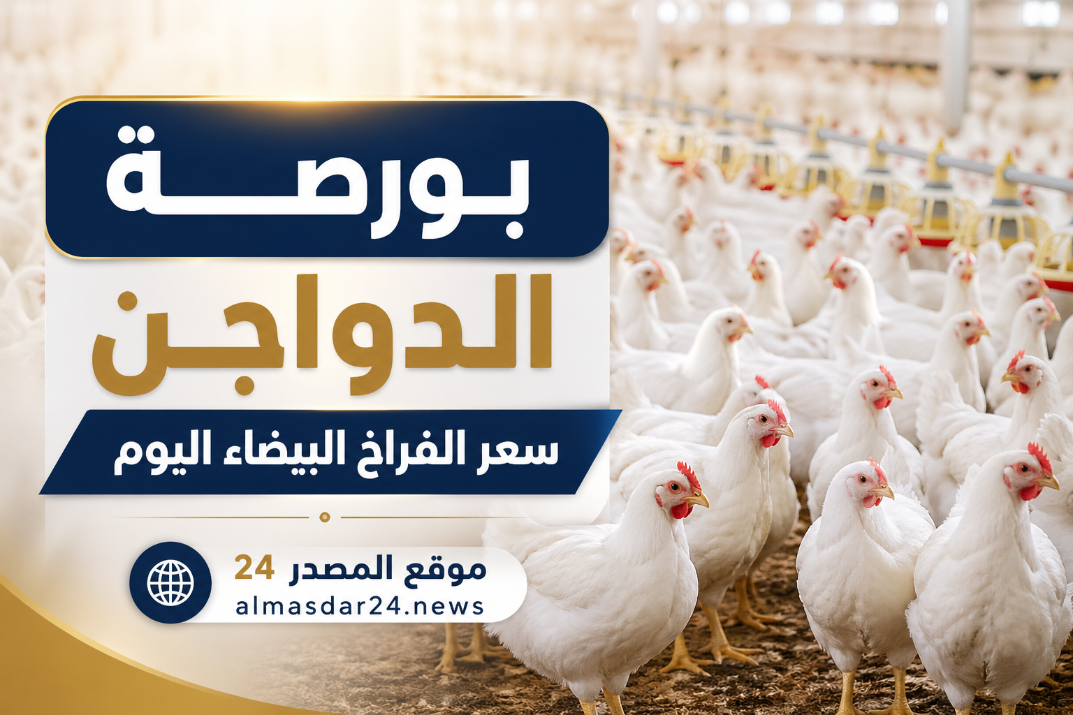 أسعار الفراخ البيضاء اليوم الآن والساسو والبيض اليوم في مصر الثلاثاء 28 أبريل 2026 تحديث لحظي شامل لأسعار الدواجن في الأسواق وبورصة الدواجن وهل يستمر الاستقرار أم تعود موجة الارتفاع من جديد