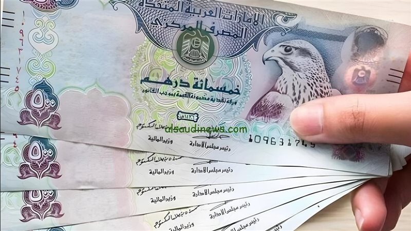 سعر الدرهم الإماراتي في بنك مصر والبنك الأهلي المصري اليوم الثلاثاء 14 أبريل 2026 أمام الجنيه المصري في البنوك.. تعرف على أحدث أسعار الشراء والبيع وتفاصيل حركة العملة داخل السوق المصرفي
