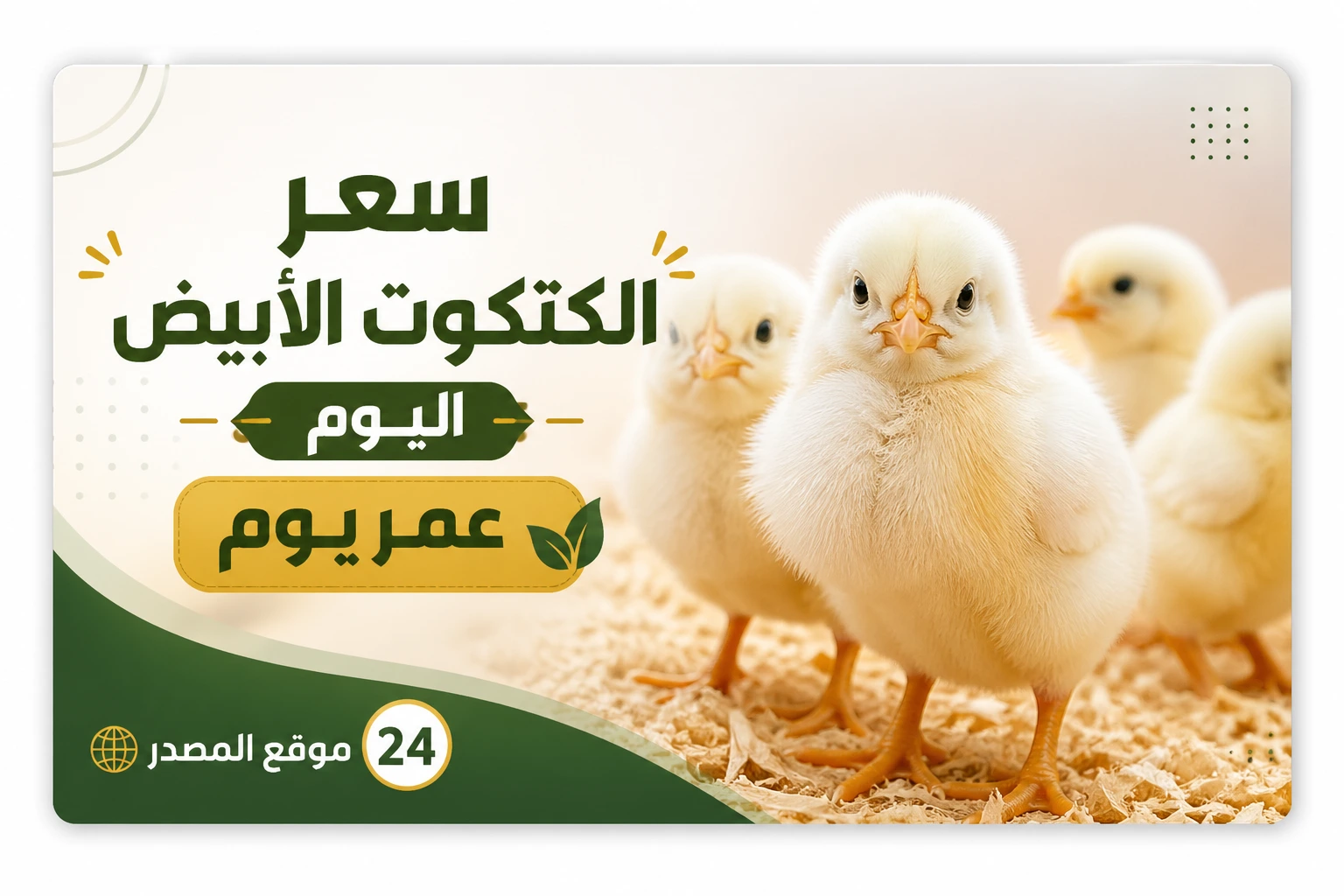 سعر الكتكوت الأبيض اليوم عمر يوم والبط اليوم الخميس 30 أبريل 2026 في مصر.. تحديث جديد لأسعار الكتاكيت عمر يوم داخل بورصة الدواجن والشركات