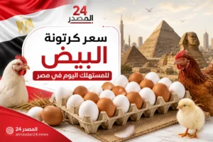سعر كرتونة البيض اليوم للمستهلك في مصر