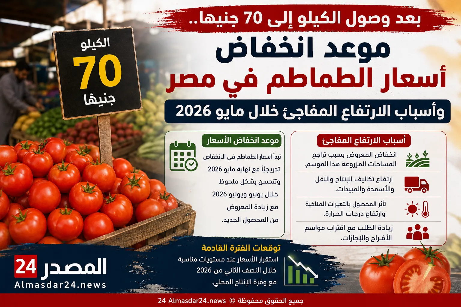 بعد وصول الكيلو إلى 70 جنيهًا.. موعد انخفاض أسعار الطماطم في مصر وأسباب الارتفاع المفاجئ خلال مايو 2026